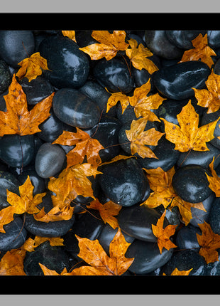 Echoes of Fall