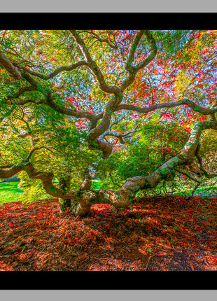 Essence of Fall