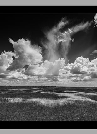 Big Cypress Preserve