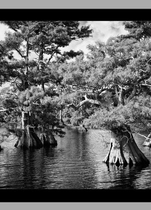 Blue Cypress Lake