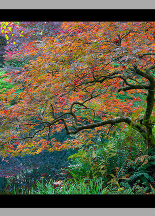 Garden Mosiac