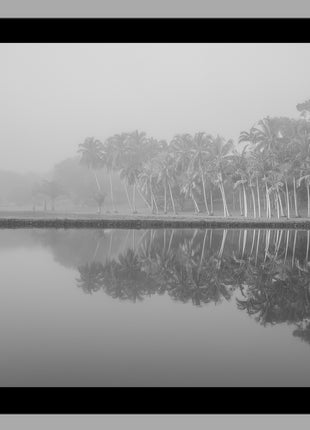 Royal Lake Reflections