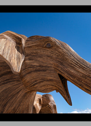 Elephants at The Beach