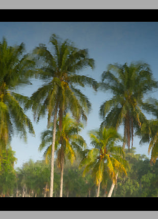 Tropic Flare