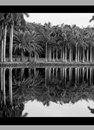 Royal Splendor