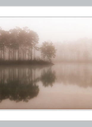 Morning Mist