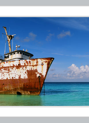 Oceanic Adventure