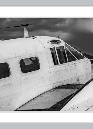Timeless Flight