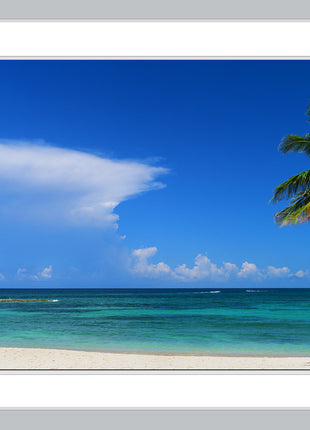 Atlantic Cove