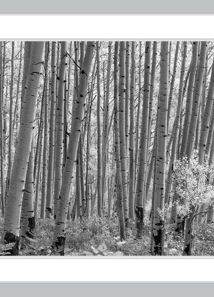 Mcclure Pass