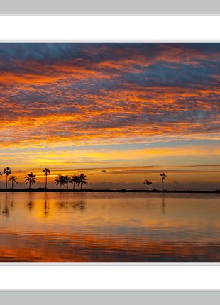 Tropical Glory