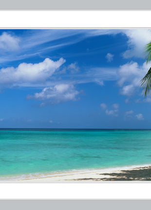 This Side of Paradise