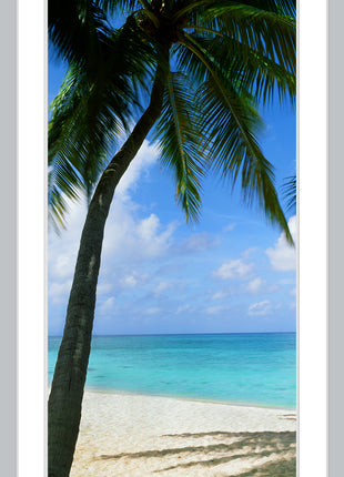 Palm Cove