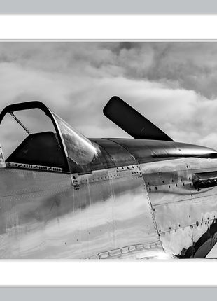Warbird