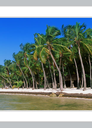 Stranded