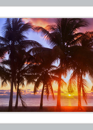 Tropical Sunrise