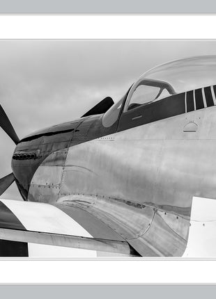 Enforcer Black and White