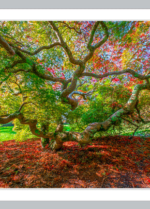 Essence of Fall