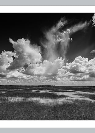 Big Cypress Preserve
