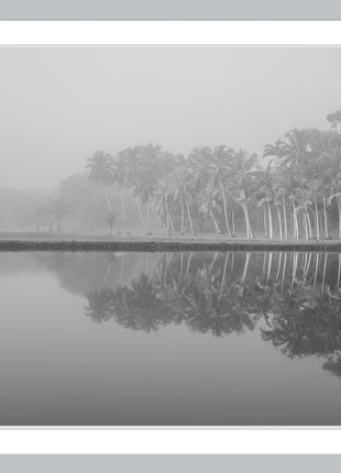Royal Lake Reflections