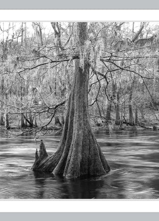 Santa Fe River