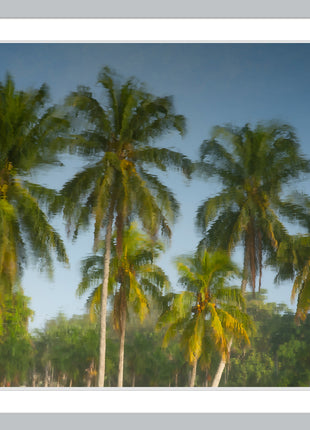Tropic Flare