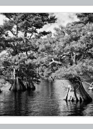 Blue Cypress Lake