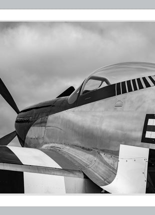 Enforcer Standard Black and White