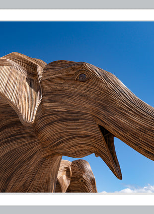 Elephants at The Beach