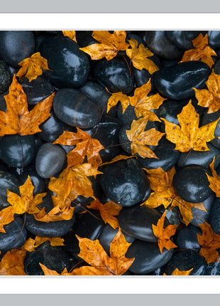 Echoes of Fall