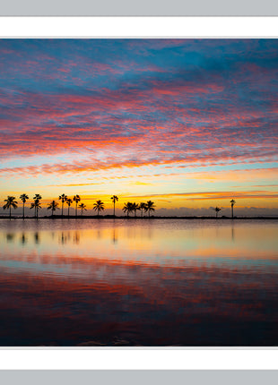Painted Skies