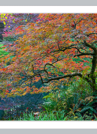 Garden Mosiac