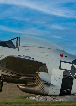 Stallion of The Skies