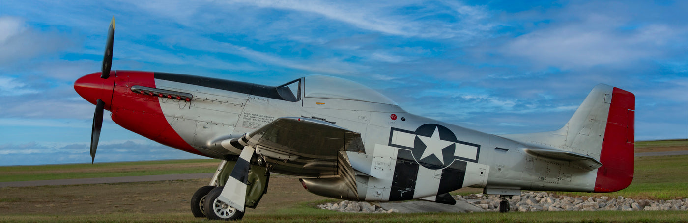 Stallion of The Skies
