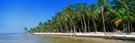 Stranded