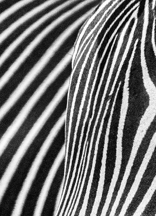 Stripes