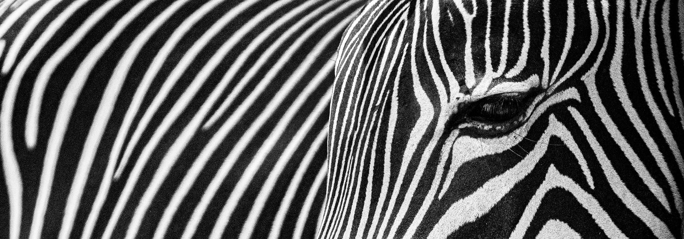 Stripes