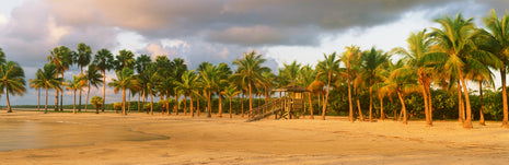 The Lagoon