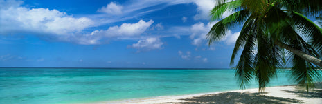 This Side of Paradise