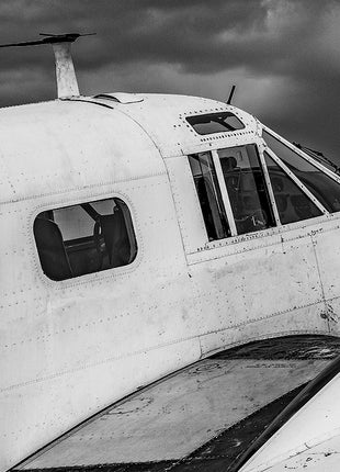 Timeless Flight