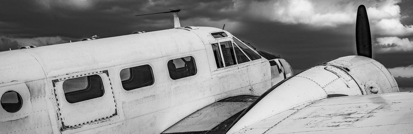 Timeless Flight