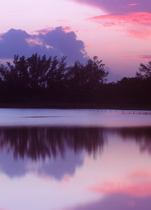 Tranquility