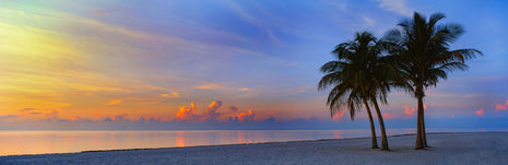 Tropic Dawn