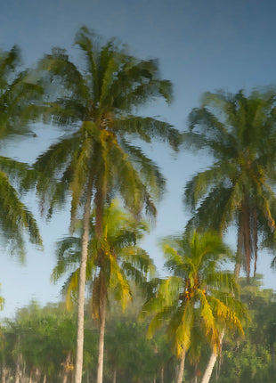Tropic Flare