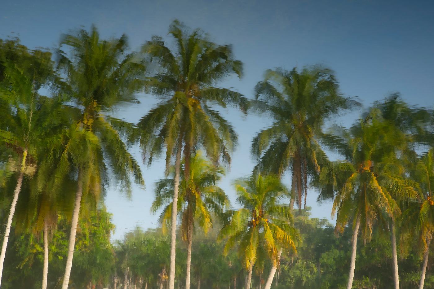 Tropic Flare