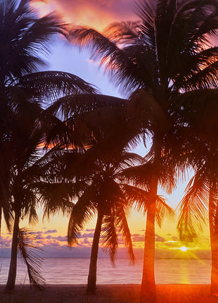 Tropical Sunrise