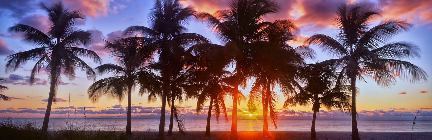 Tropical Sunrise