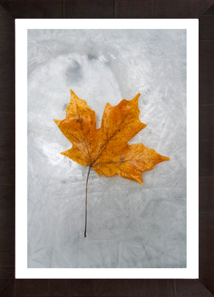 Autumn Flame