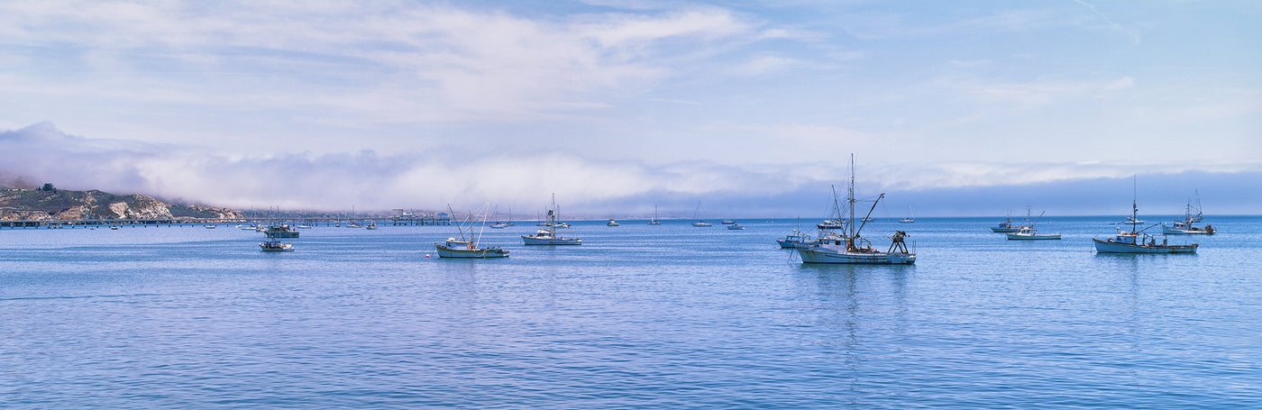 Vista Del Mar