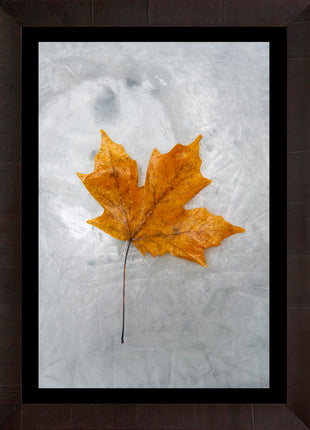 Autumn Flame